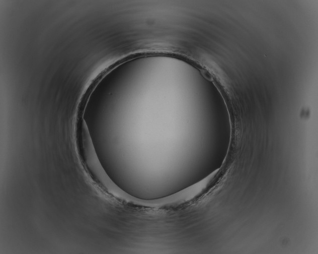 X0000089961085200707131532