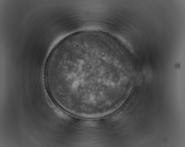 X0000089961086200707131532