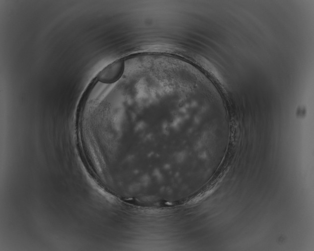 X0000089961087200707131532
