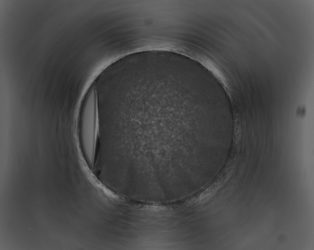 X0000089961088200707131532