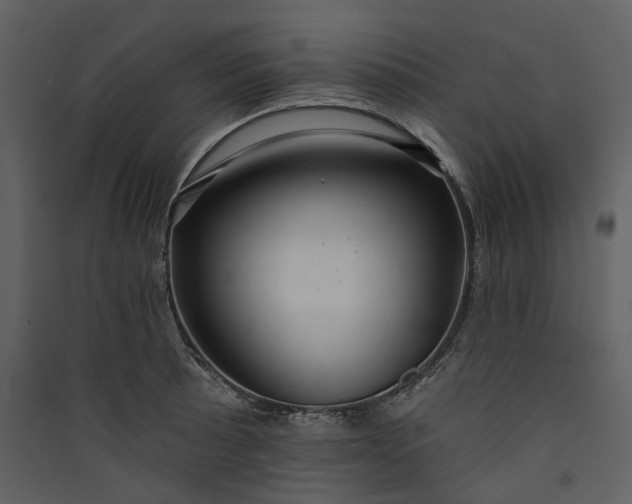 X0000089961089200707131532