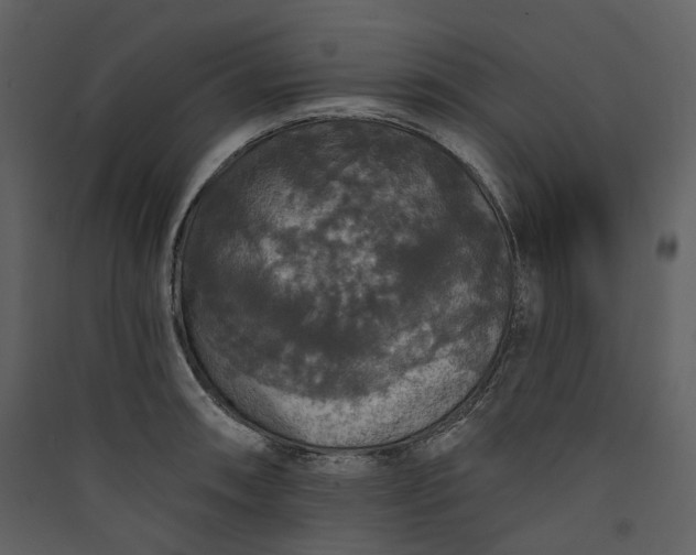 X0000089961090200707131532