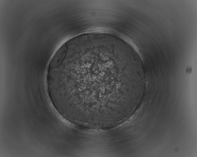 X0000089961091200707131532