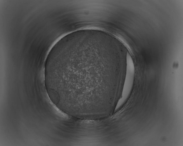 X0000089961092200707131532