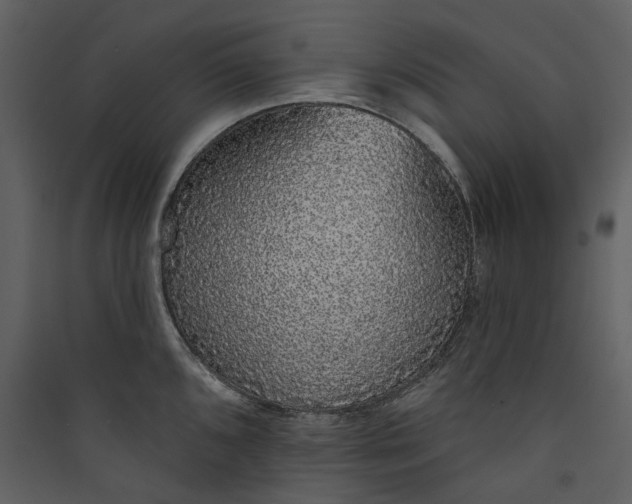 X0000089961096200707131532