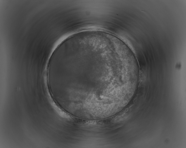 X0000089961098200707131532