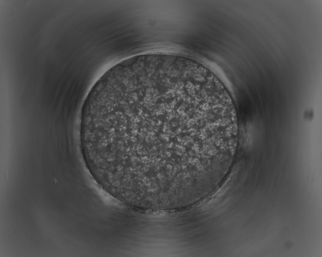 X0000089961099200707131532