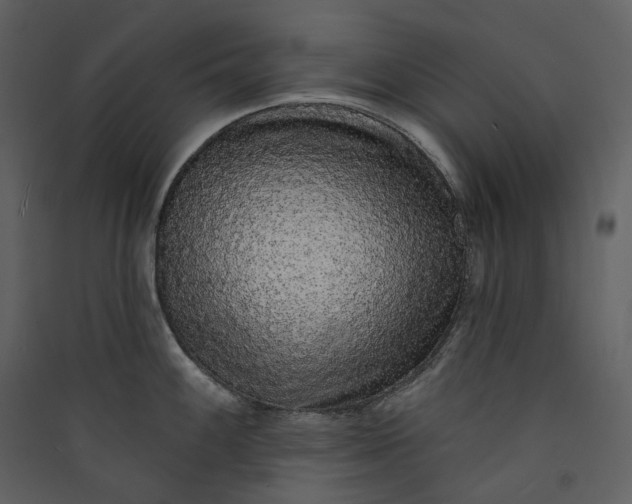 X0000089961100200707131532