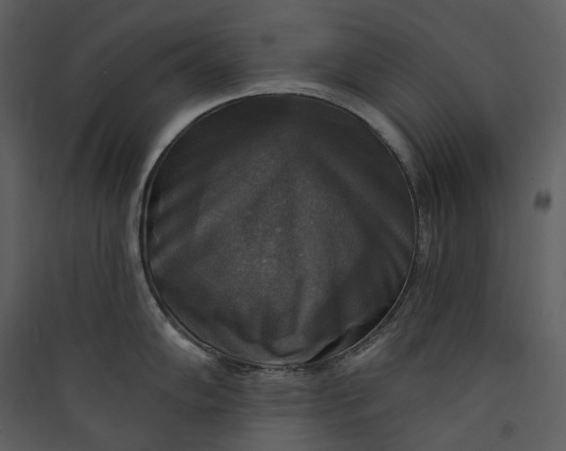 X0000089961102200707131532