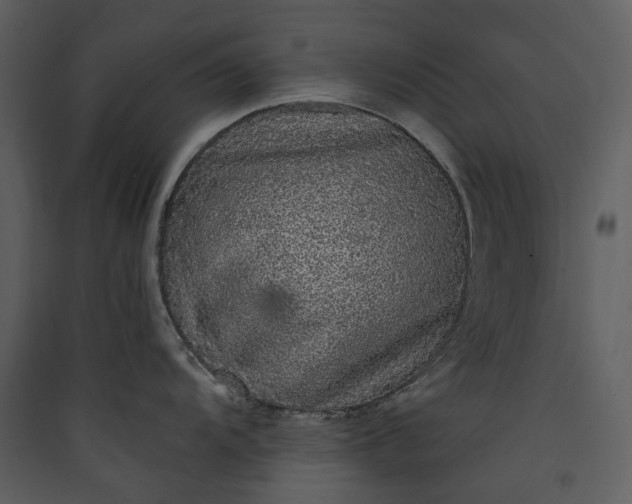 X0000089961104200707131532