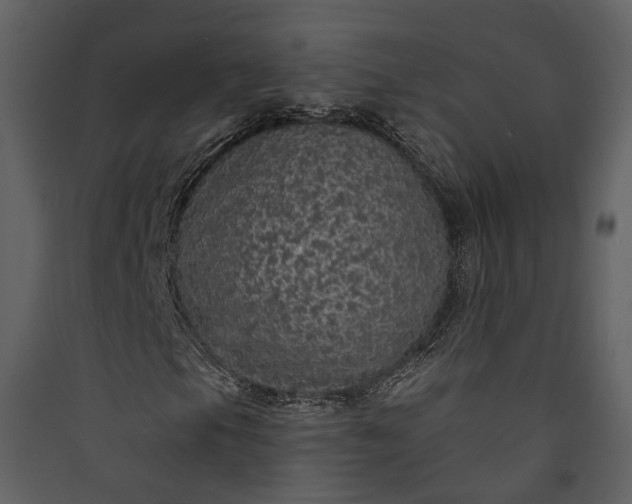 X0000089961105200707131531