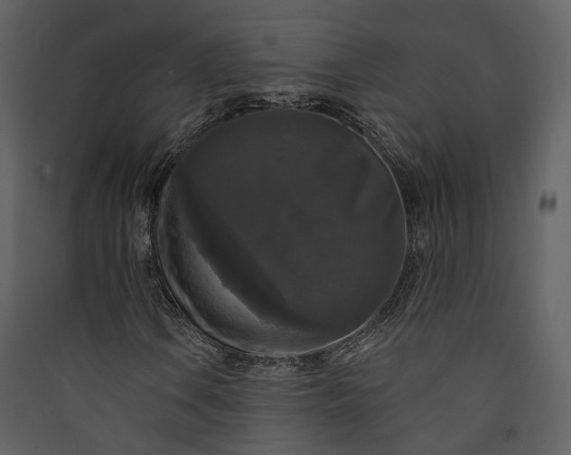 X0000089961106200707131531