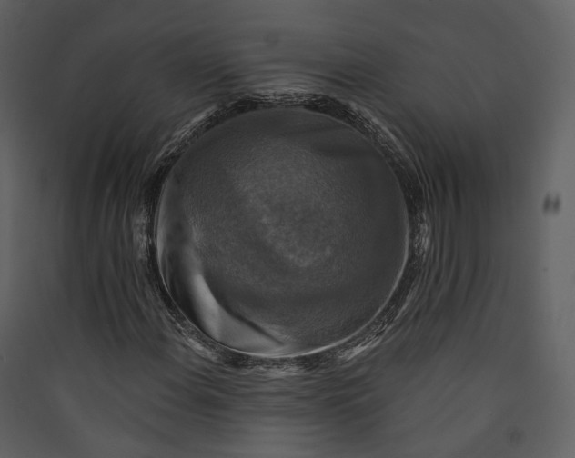 X0000089961108200707131531