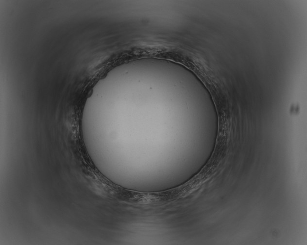 X0000089961109200707131531