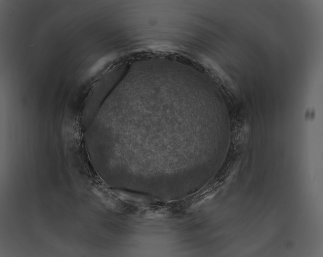 X0000089961110200707131531