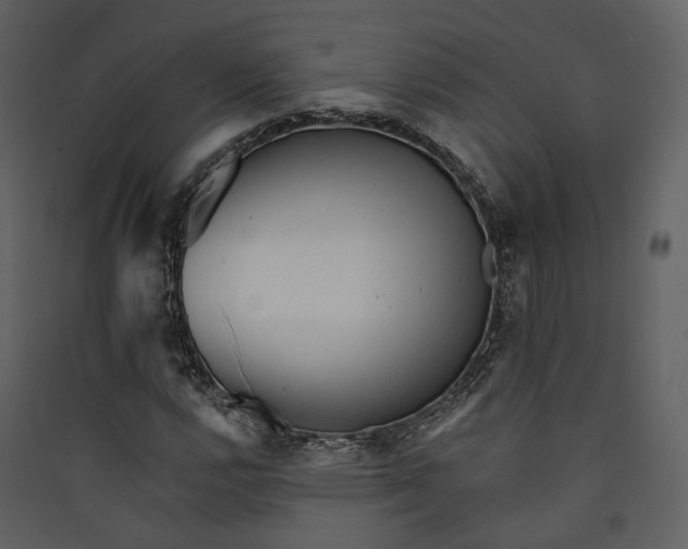 X0000089961112200707131531