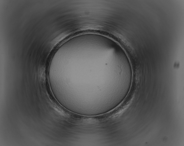 X0000089961113200707131531
