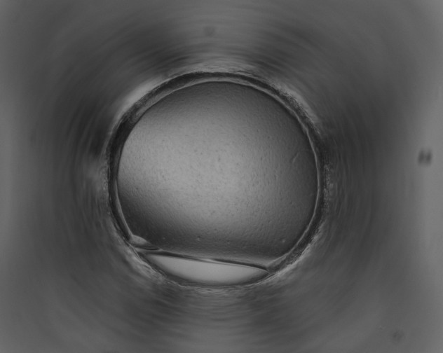 X0000089961114200707131531