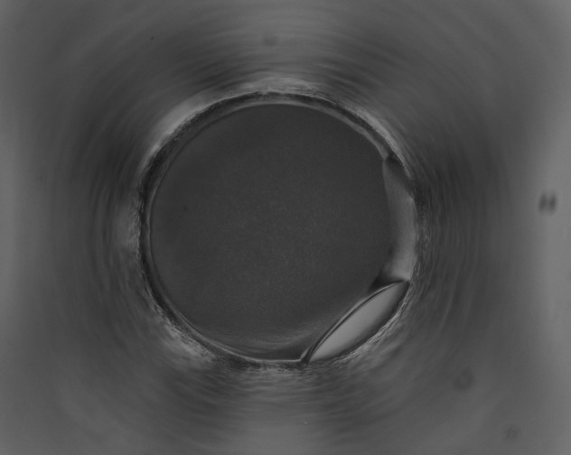 X0000089961115200707131531