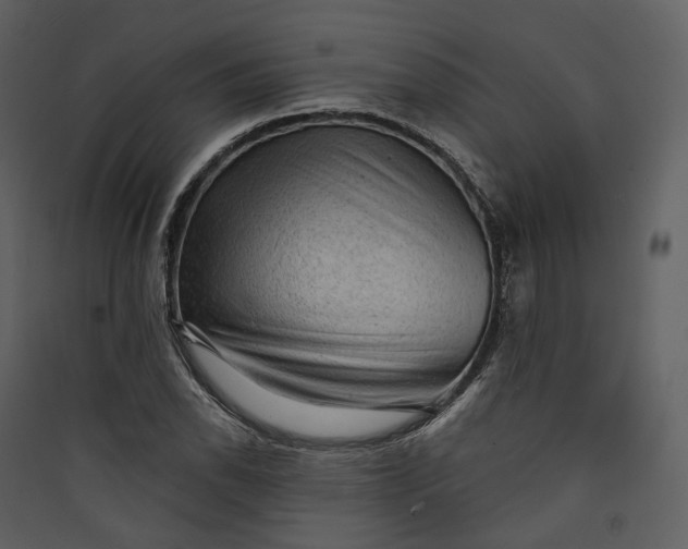 X0000089961118200707131531