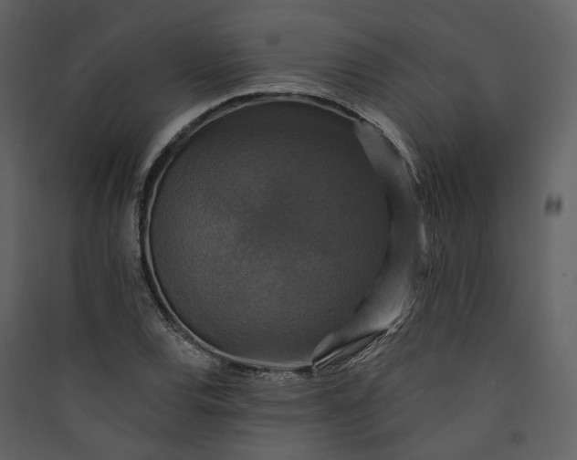 X0000089961120200707131531