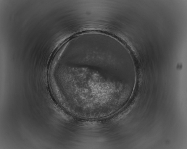 X0000089961121200707131531