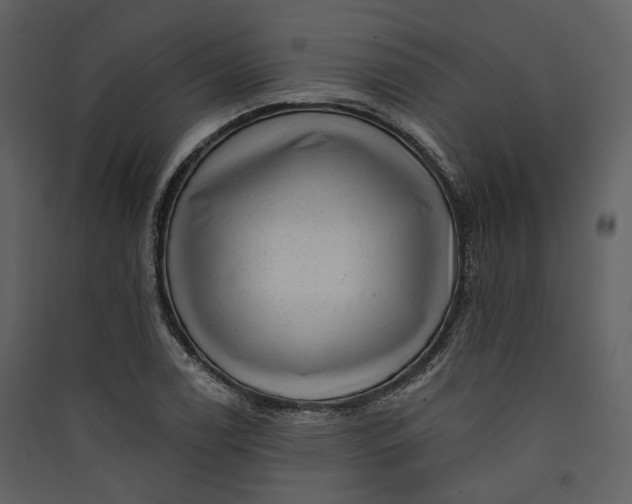 X0000089961122200707131531