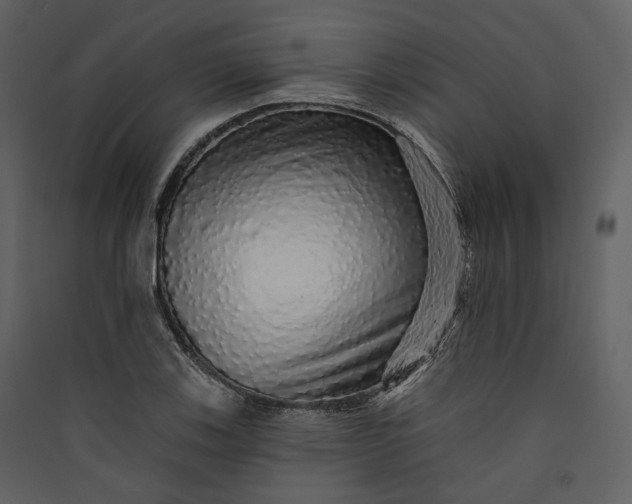 X0000089961123200707131531