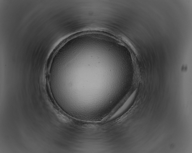 X0000089961124200707131531