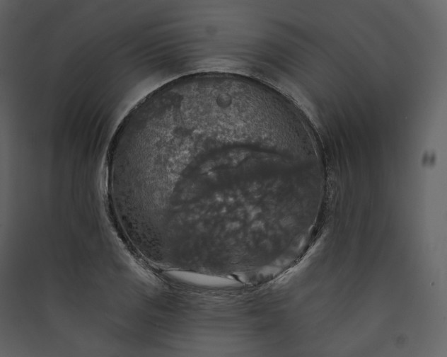 X0000089961125200707131531