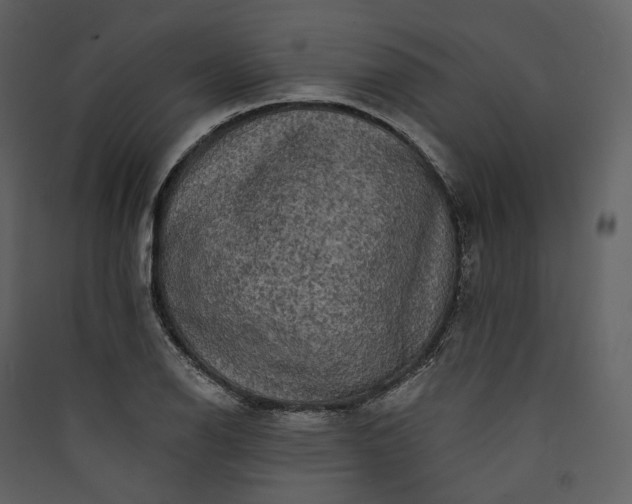 X0000089961126200707131531
