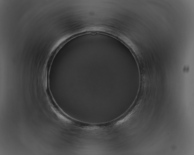 X0000089961127200707131531