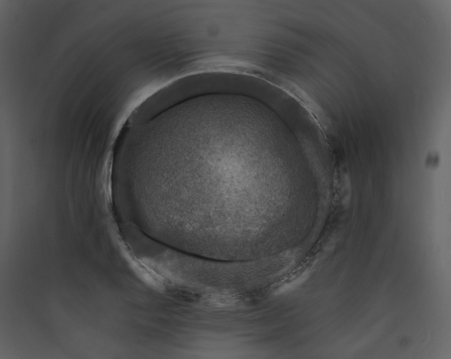 X0000089961128200707131531