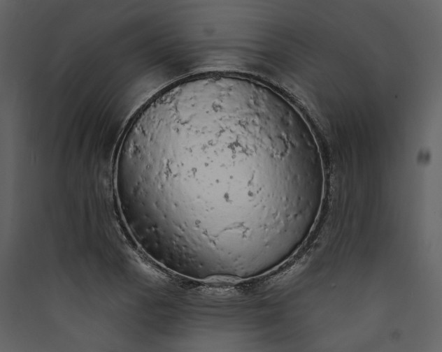 X0000089961129200707131531