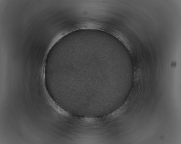 X0000089961130200707131531
