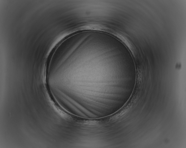 X0000089961131200707131531