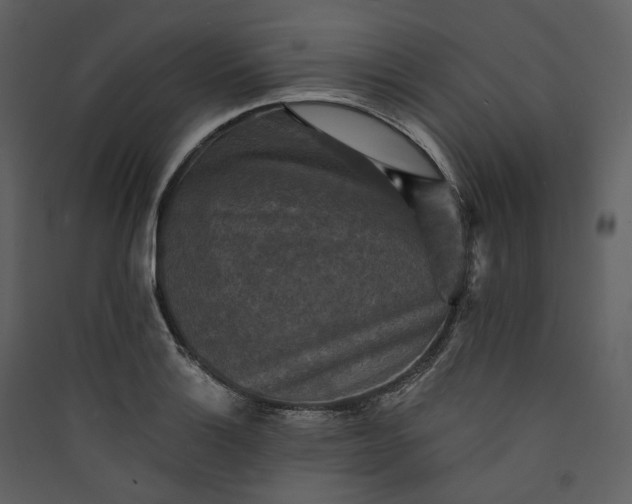 X0000089961132200707131531