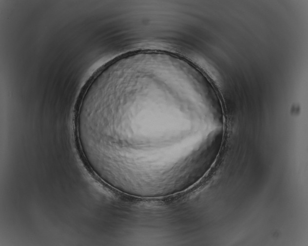 X0000089961133200707131531