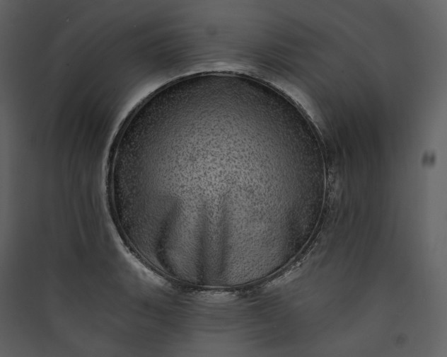 X0000089961135200707131531
