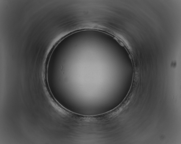 X0000089961136200707131531