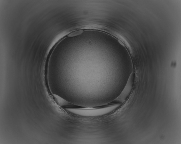 X0000089961138200707131531