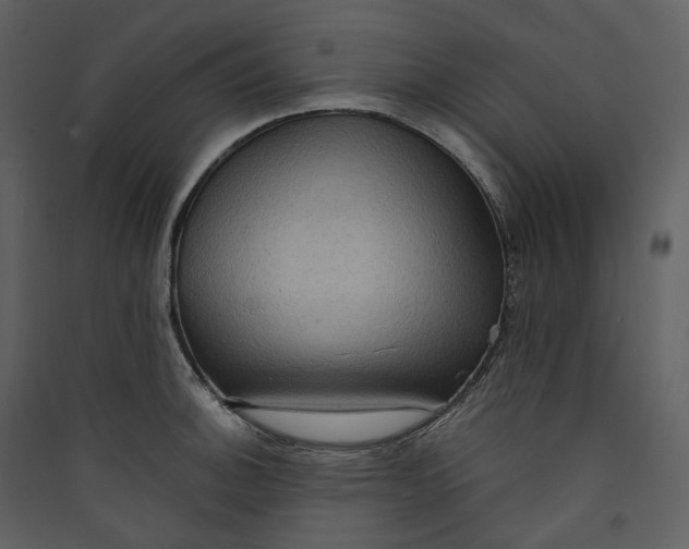 X0000089961140200707131531