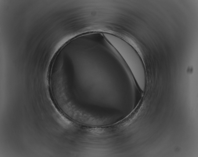 X0000089961141200707131531