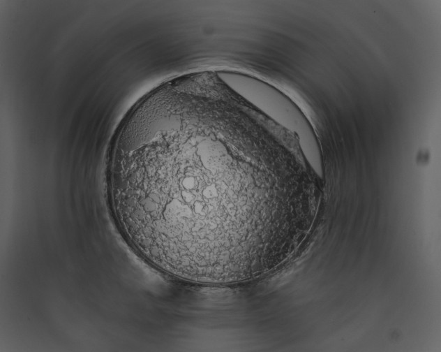 X0000089961142200707131531