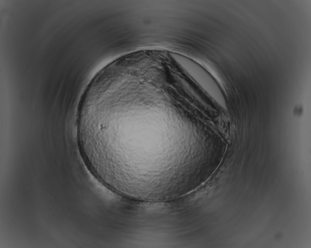 X0000089961143200707131531