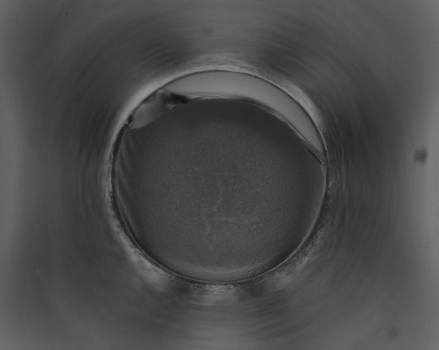 X0000089961144200707131531