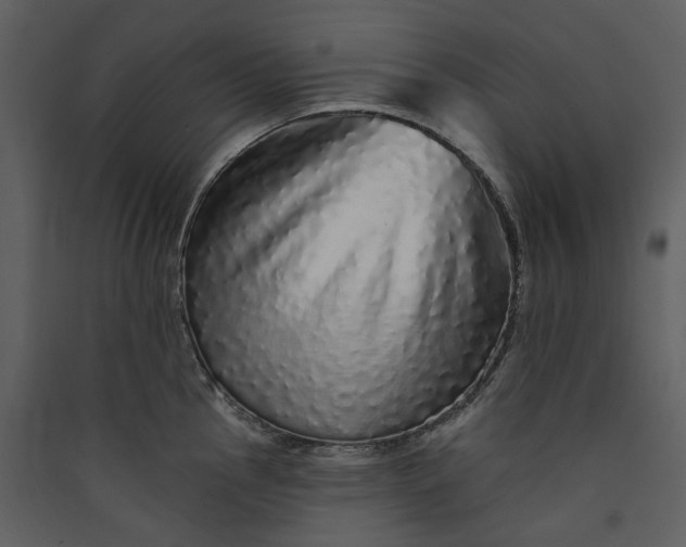X0000089961145200707131531