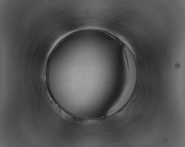 X0000089961148200707131532