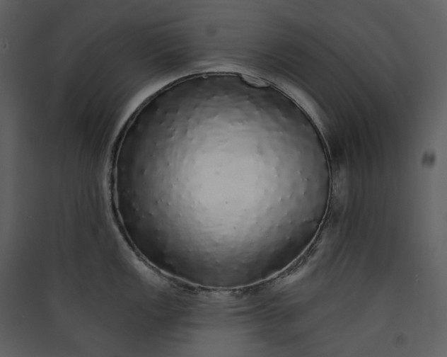 X0000089961149200707131532