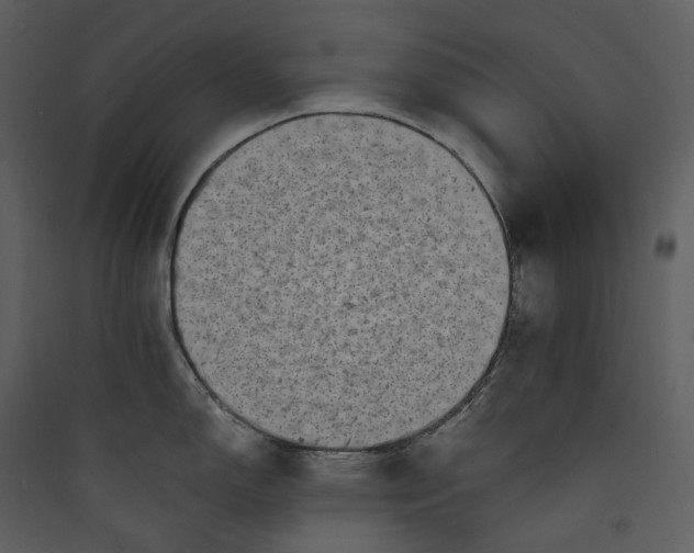 X0000089961150200707131532